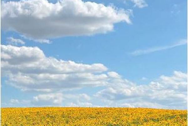 Zp 10 Nrw 2024 Themen Zahlen und Fakten 2024